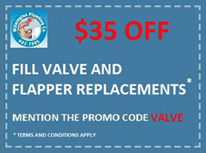 Fill Valve And Flapper Replacements